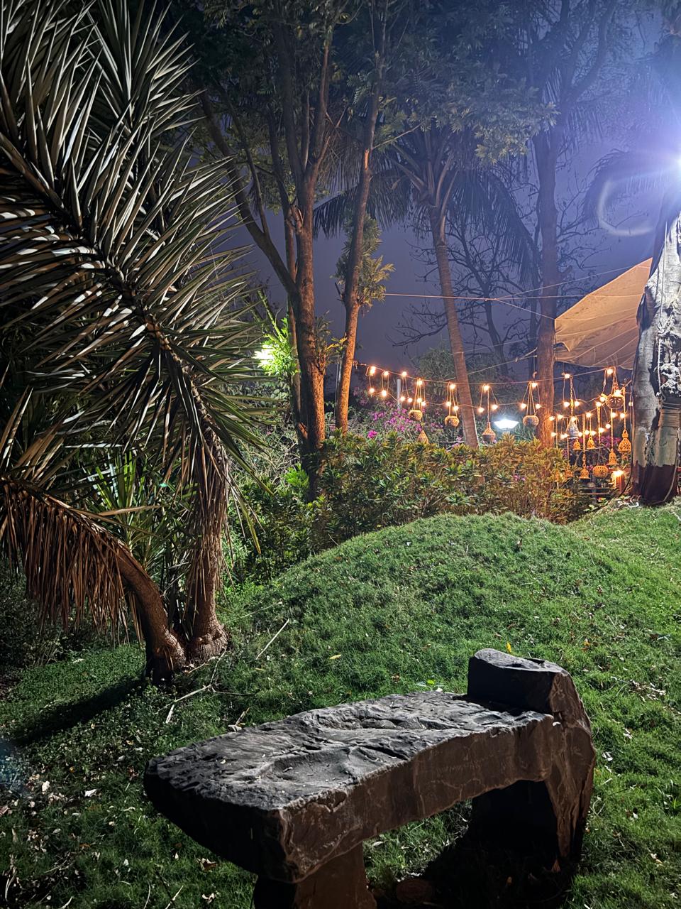 Ivy House nighttime