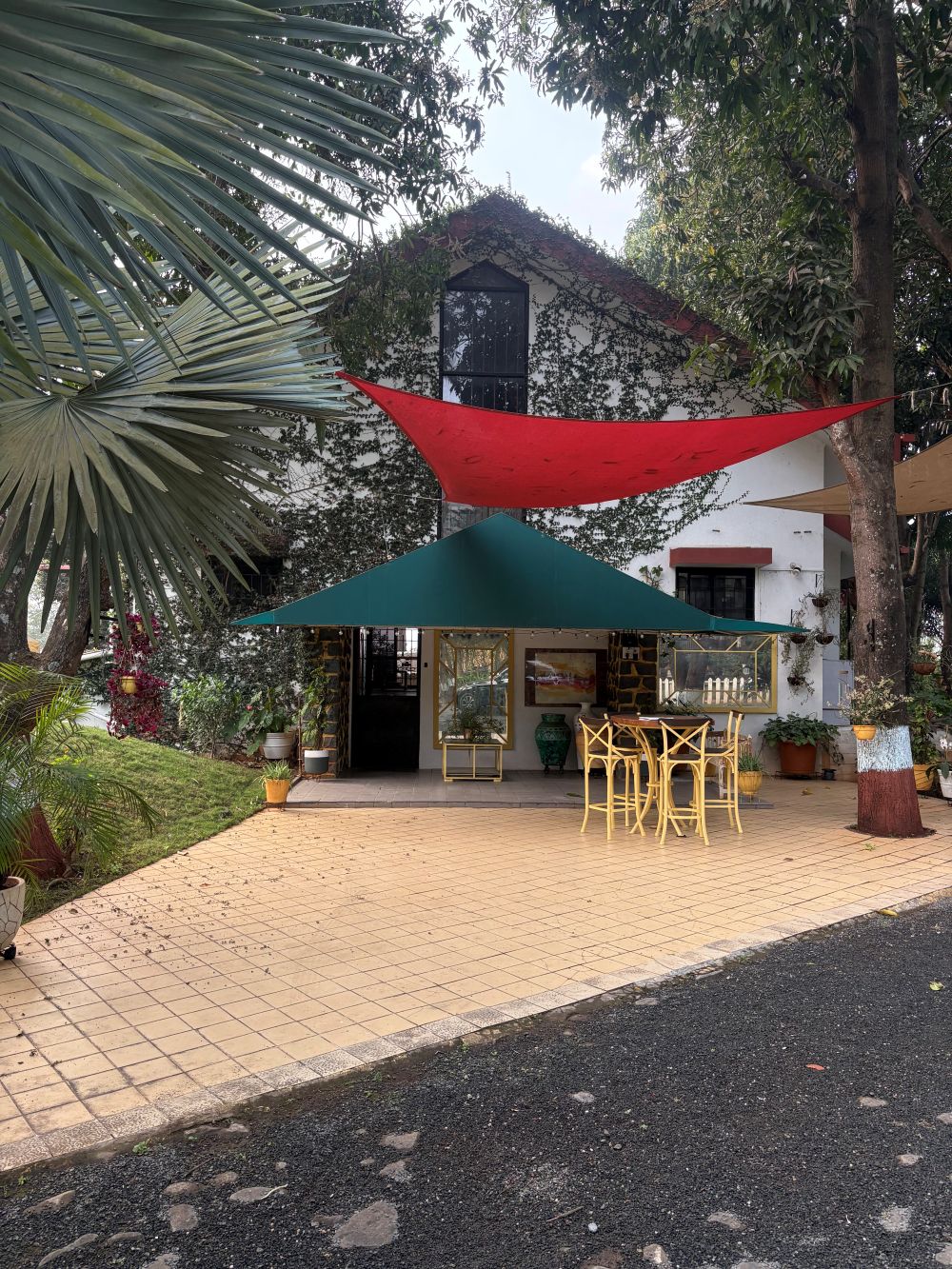Ivy House daytime