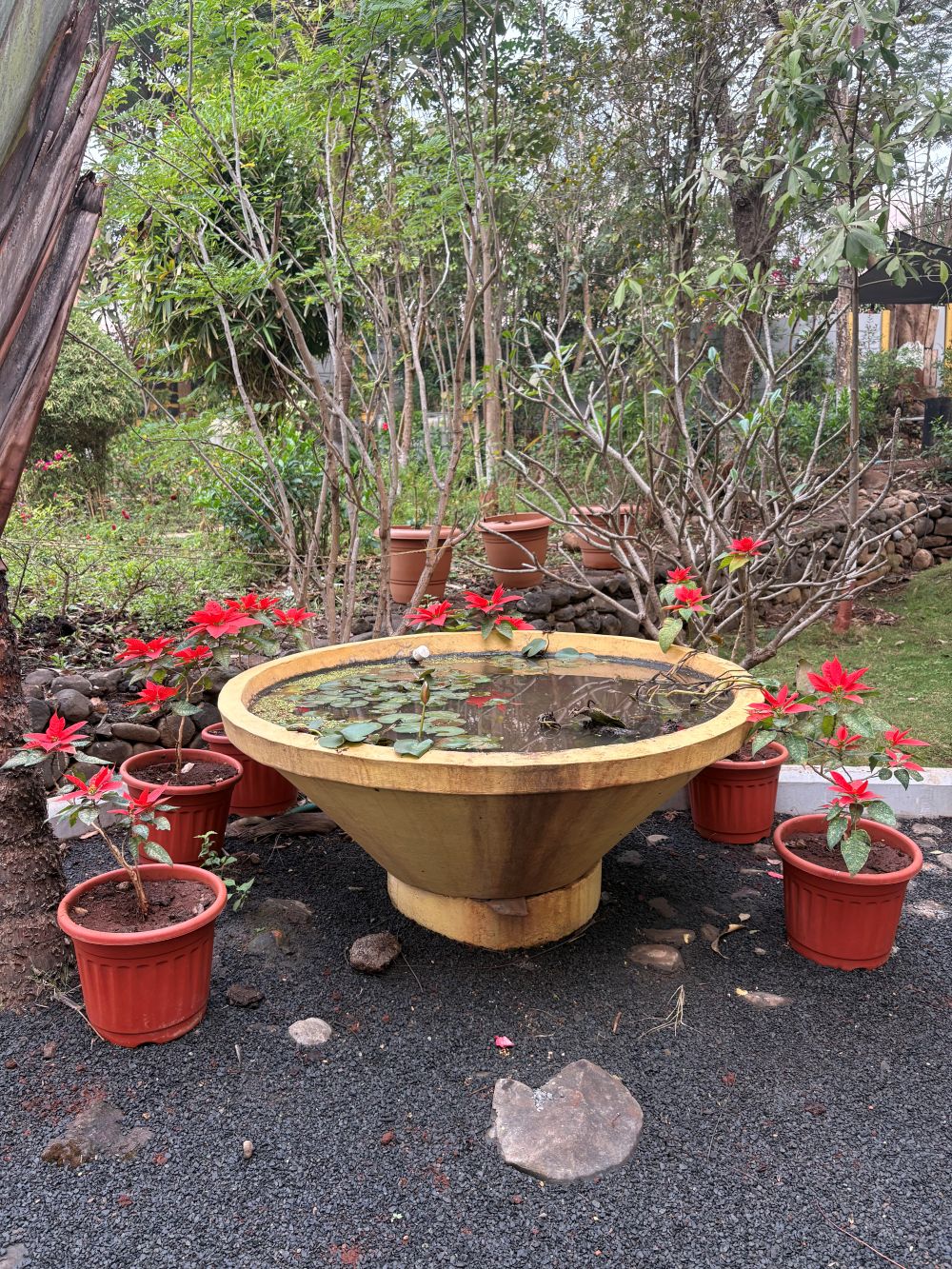 Ivy House outdoors