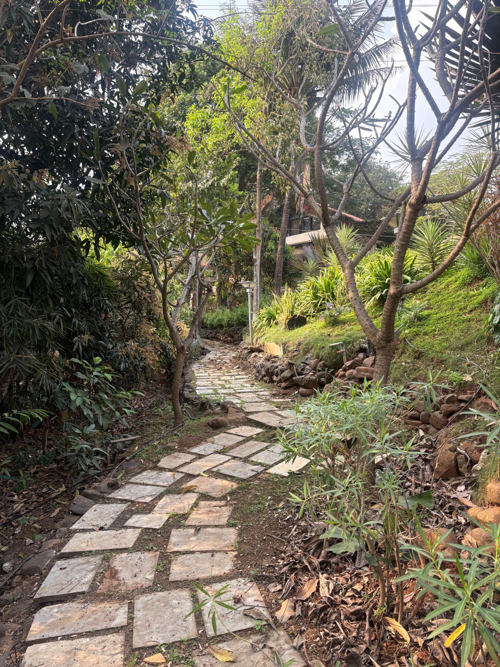 Ivy House outdoors