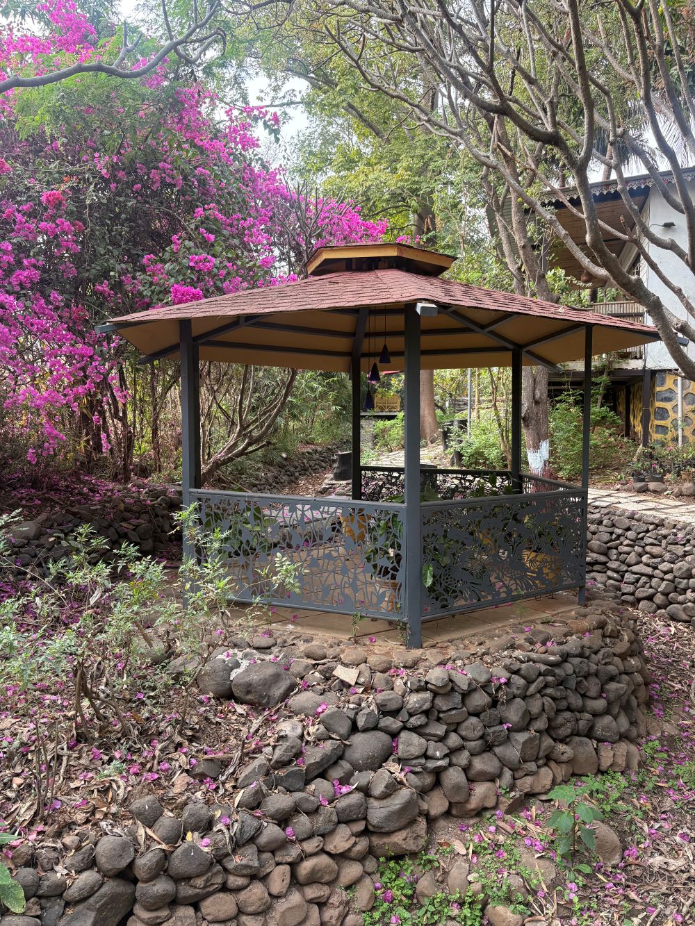 Ivy House outdoors