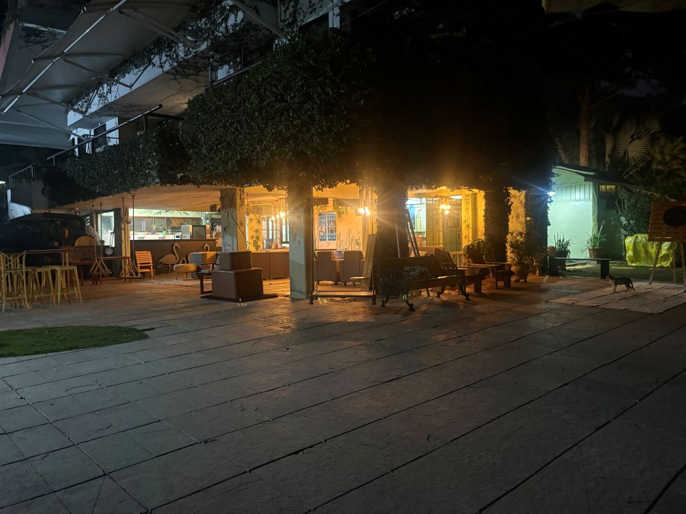 Ivy House nighttime